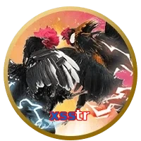 xsstr